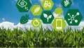 Smart Farming for Evergreen Revolution to  Make Agriculture  Profitable