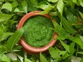 Know About Neem Benefits, Uses and Side Effects