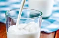New Zealand Keen to Cooperate With Indian Dairy Sector