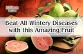 5 Incredible Health Benefits of Guava to Beat Cancer and Many Wintery Diseases
