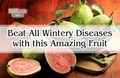 5 Incredible Health Benefits of Guava to Beat Cancer and Many Wintery Diseases