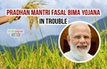 Pradhan Mantri Fasal Bima Yojana Update: 4 Leading Private Insurance Companies Withdraw From PMFBY