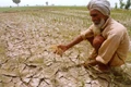 A Relief Package Worth Rs. 700 Crore Announced for Rain-hit Farmers