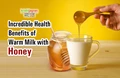 6 Reasons Why You Must Drink Warm Milk with Honey This Winter Season