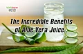 Why You Need to Drink Aloe Vera Juice More Often? Know Its Benefits