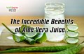 Why You Need to Drink Aloe Vera Juice More Often? Know Its Benefits