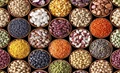 Pulses Production Sustainability And its Role in Human Nutrition
