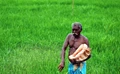 New Bill Passed in Kerala Ensures Financial Support and Pension to Farmers