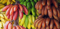 What are the Important Banana Varieties in India?