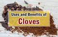 Eating Cloves Everyday Will Keep You Away From These Health Problems