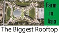 Have a Look at Asia’s Biggest Rooftop Farm
