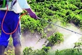 Government to Revoke License of Pesticide Sellers without Degree; How to Get New License
