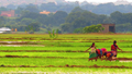 Embracing Conservation Agriculture to Enhance Farm’s Financial Health: Dr Shivendra Bajaj, FSII
