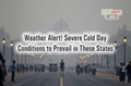 Cold Wave Sweeps Entire North India; Delhi, Haryana, Punjab Wakes Up to Dense Fog