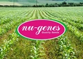 Agri-tech Start Up Nu Genes to raise $6 million from Innovation in Food and Agriculture Fund