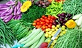 APEDA Sends First Trial Shipment of Vegetables to Dubai
