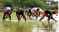 Only 50% Farmers Will Be Covered Under PM Kisan Yojana This Year