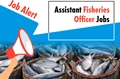 OPSC Recruitment 2020: Apply for Assistant Fisheries Officer Posts; Full Details Inside