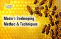Beekeeping: This is how you can get Honey without Applying Hands & Harming Bees