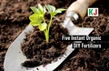 Top 5 Unbelievable Ways to Nourish Your Soil Organically