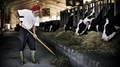 How to get SUBSIDY, on starting DAIRY BUSINESS