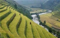 Reviving traditional crops, Nagaland adopting climate change adaptation strategy