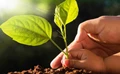 Soil Health Card Cuts Fertilizer Use by 10 Percent: Study