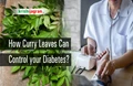 Curry Leaves Can Help You to Control Blood Sugar Level and Diabetes; Know How?