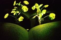 Glowing trees will replace street lights in future: scientists create plants that glow