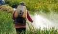 PMFAI Views on Pesticides Management Bill (PMB)