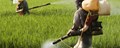 Identify fake pesticides with authenticated solutions