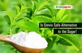 Is Stevia Safe Alternative to the Sugar!