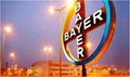 Bayer Launches Its First Biofungicide, Serenade
