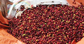 Tata Coffee Limited Launches E-commerce Platform for Customers