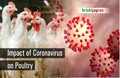 How Coronavirus is Affecting Poultry Industry?