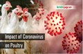How Coronavirus is Affecting Poultry Industry?