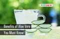 Aloe Vera Benefits: Why You Must Include Aloe Vera Juice in Your Diet?