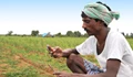 PM Kisan: Government to Release 11th Installment Anytime Now; Check Your Name in Beneficiary List