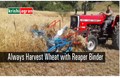 Wheat Harvesting: Why Farmers Must Harvest Wheat with Reaper Binder Machine? Know its Benefits