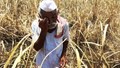 PM Kisan Yojana: Big Update on 11th Installment; These Farmers Will Not Get Rs. 2000