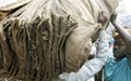 West Bengal Jute Mills and Tea Gardens will Remain Closed till Lockdown