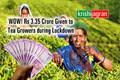 Tea Board Gives Rs 3.35 Crore Subsidies under Various Schemes & Plans to Growers to Help Them amid Lockdown