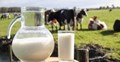 Government scheme for milk production