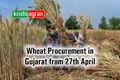Procurement of Wheat in Gujarat from 27th April as per MSP