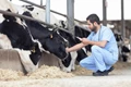 World Veterinary Day 2020: Promoting Better Animal Health to Save the World from Another Pandemic