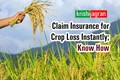 PM Fasal Bima Yojana : How Farmers can Claim Insurance for Crop Loss Instantly? Important Documents, Methods to Apply