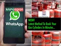 Good News! Book Your Gas Cylinders by WhatsApp on This Number; Information on Subsidy & All States Helpline Numbers Inside