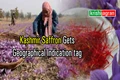Kashmiri Saffron Gets GI Tag