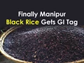 Manipur Black Rice ‘Chakhao’ Gets Geographical Indication (GI) Tag