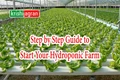 How to Start A Successful Hydroponics Farm Business?